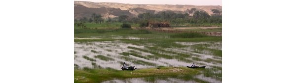 Egyptian irrigation canals